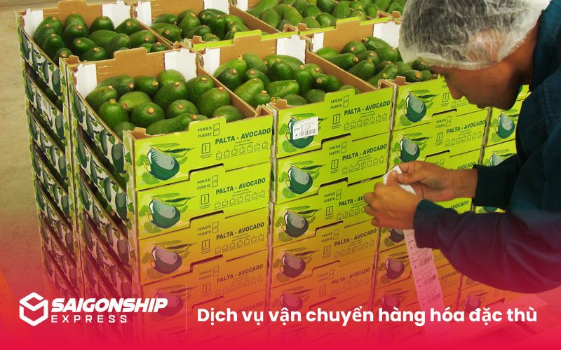 Dịch vụ vận chuyển hàng hóa đặc thù