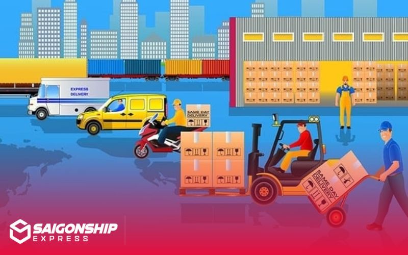Khu Vực Hoạt Động và Mạng Lưới