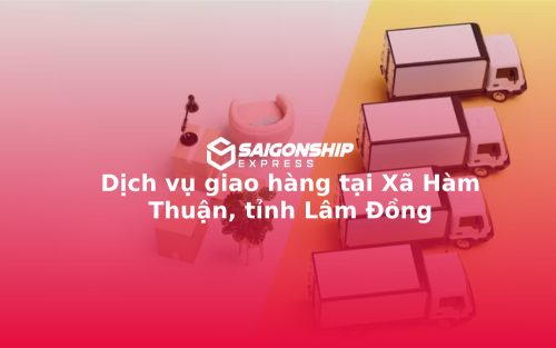 dich-vu-giao-hang-tai-xa-ham-thuan