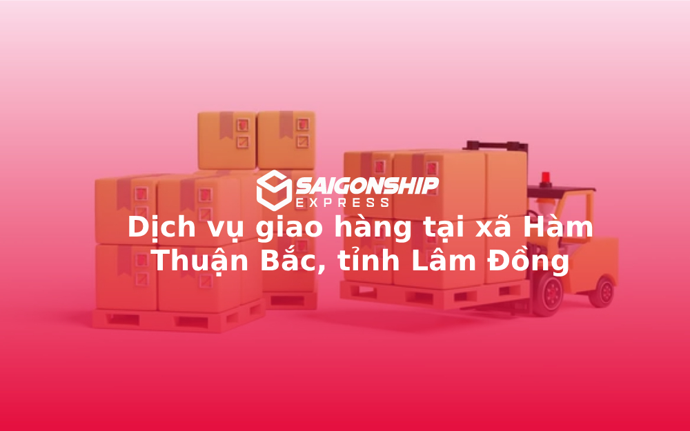 dich-vu-giao-hang-tai-xa-ham-thuan-bac