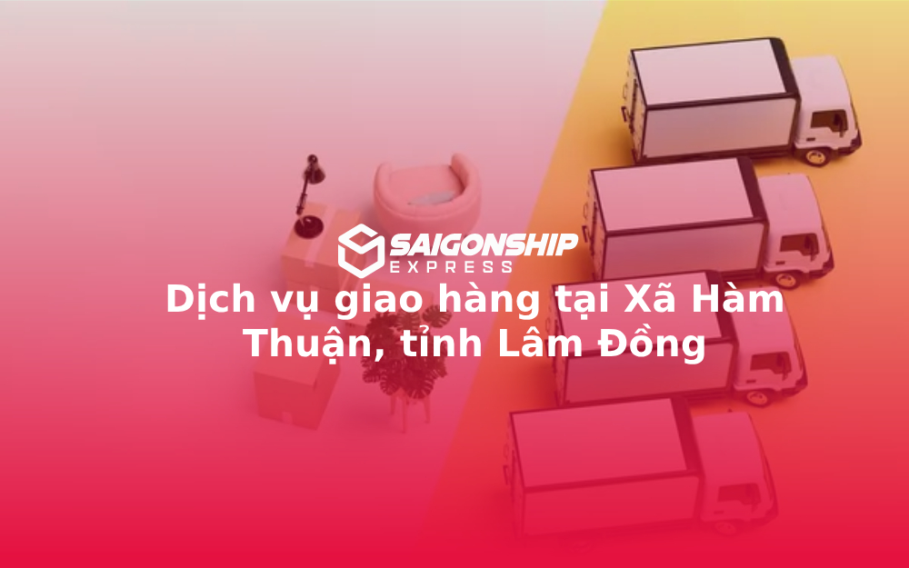 dich-vu-giao-hang-tai-xa-ham-thuan