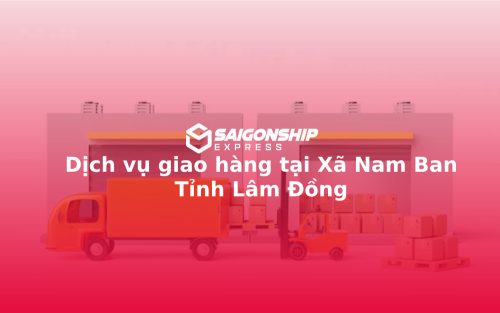 dich-vu-giao-hang-tai-xa-nam-ban