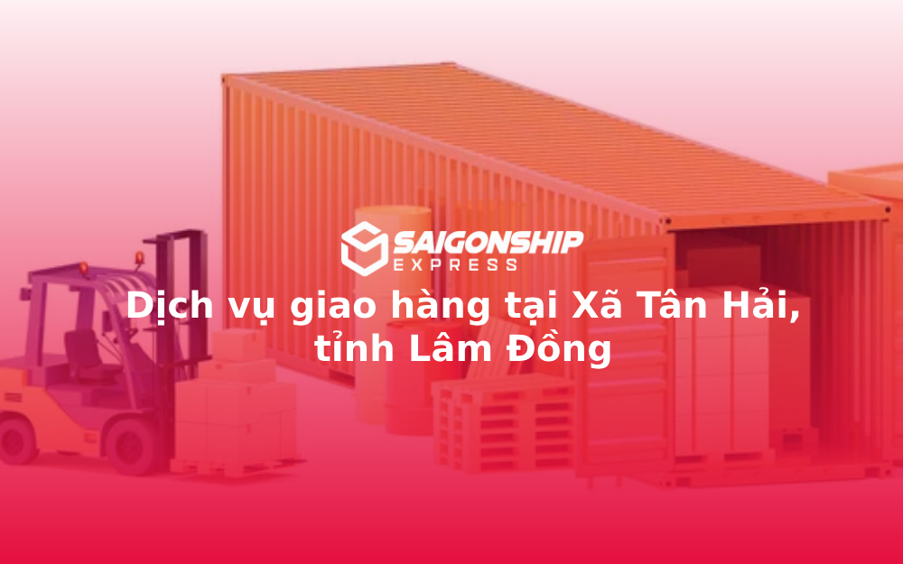 dich-vu-giao-hang-tai-xa-tan-hai