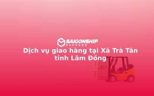 dich-vu-giao-hang-tai-xa-tra-tan