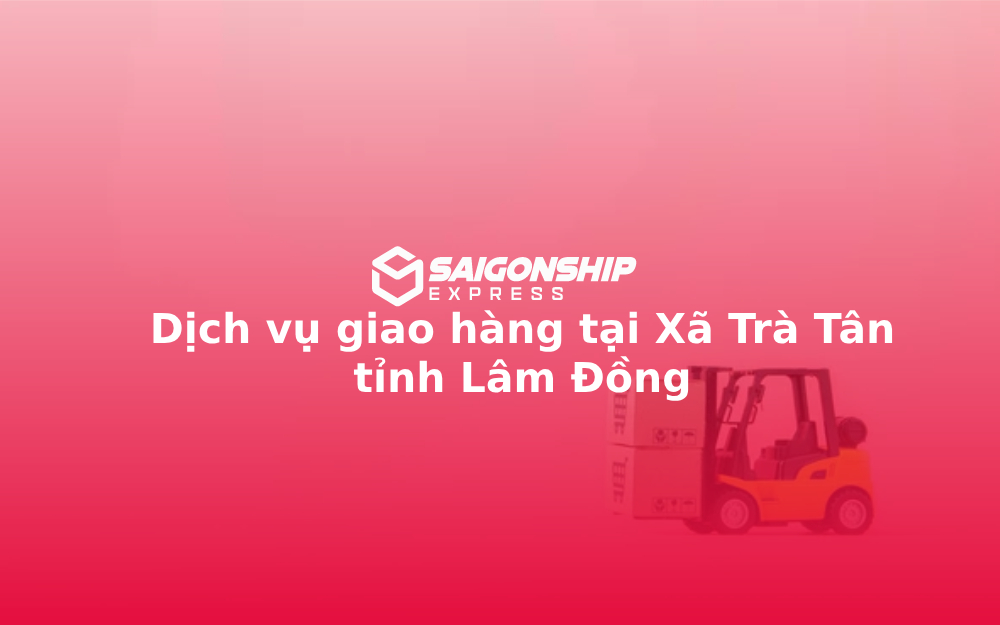 dich-vu-giao-hang-tai-xa-tra-tan