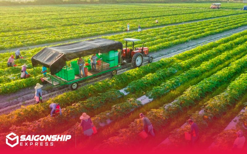 Phát triển logistics nông thôn thông minh